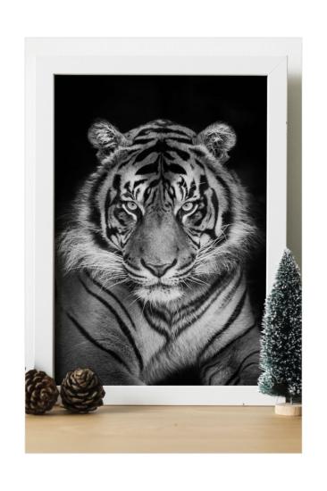Kaplan Tiger Ahşap 24x33 cm Tasarım Çerçeve